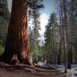 Yosemite